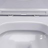Унитаз подвесной Damixa Sirius DX86C1700SC безободковый с сиденьем микролифт, белый