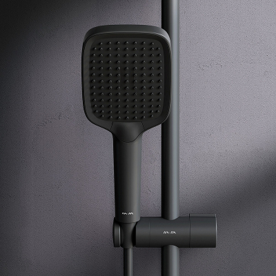 Лейка для душа AM.PM Func F028F022 черная