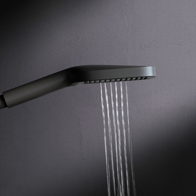 Лейка для душа AM.PM Func F028F022 черная