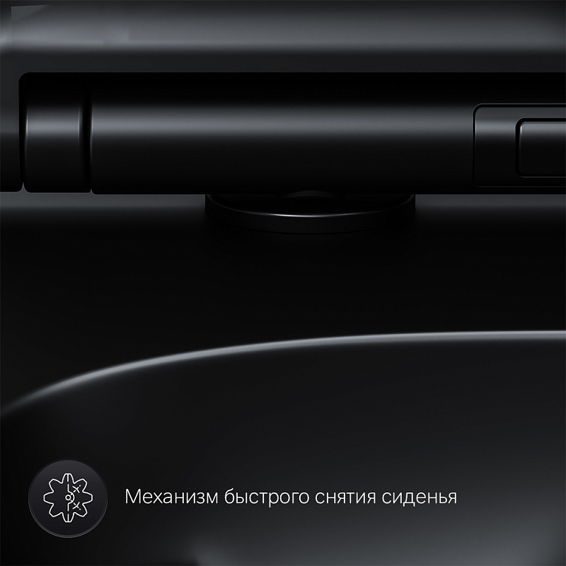Унитаз подвесной AM.PM X-Joy S C85A1700MBSC безободковый с сиденьем микролифт, черный матовый