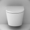 Унитаз подвесной AM.PM X-Joy C851900SC безободковый с сиденьем микролифт, белый