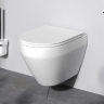 Унитаз подвесной AM.PM Spirit V2.0 C701700SC безободковый с сиденьем микролифт, белый