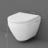 Унитаз подвесной AM.PM Spirit V2.0 C701700SC безободковый с сиденьем микролифт, белый