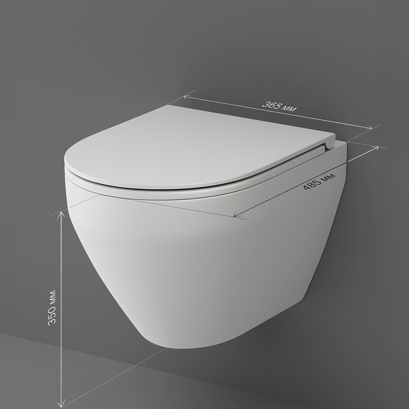 Унитаз подвесной AM.PM Spirit 2.0 C701700MWSC безободковый с сиденьем микролифт, белый матовый