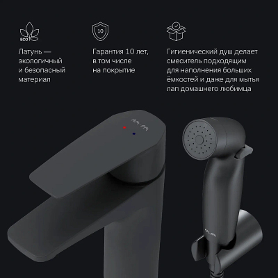 Смеситель для раковины (умывальника) AM.PM Gem F90A03022 c гигиеническим душем, черный