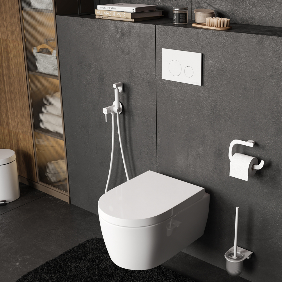 Система инсталляции для унитазов Wasserkraft Dill 61TLT.010.ME.WM02