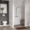 Душевая дверь Wasserkraft Neime 19P04