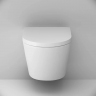 Унитаз подвесной безободковый с инсталляцией AM.PM Sense IS100101.741701 сиденьем микролифт, белой механ. клавишей