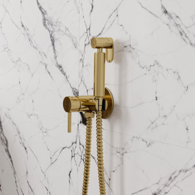 Встраиваемый смеситель для душа с гигиенической лейкой Wasserkraft A70738