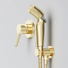 Гигиенический душ со смесителем AM.PM X-Joy S F40H85B99 золото встраиваемый, шланг 1200, держатель