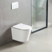 Унитаз подвесной Tornado Piatti VT1-11T, цвет белый, ультратонкое soft-close сиденье