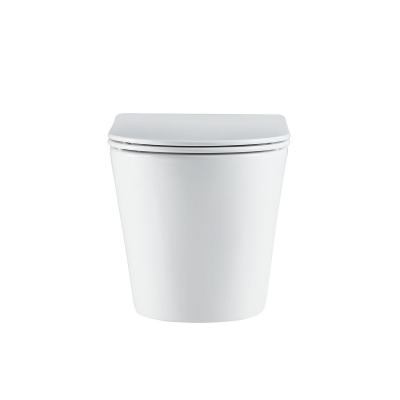 Унитаз подвесной Tornado Piatti VT1-11T, цвет белый, ультратонкое soft-close сиденье