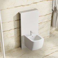 Пристенный модуль системы инсталляции для биде Wasserkraft Naab 86BDT.050.WH