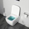 Унитаз подвесной безободковый с инсталляцией AM.PM Gem IS100201.901701 сиденьем микролифт, белой механ. клавишей