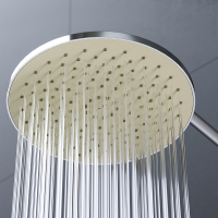 Тропический душ (лейка) AM.PM Like F0580000 хром