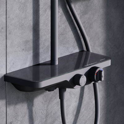 Душевая система Damixa Apollo 947760300 стойка с тропическим душем, термостатом, смесителем, черная матовая