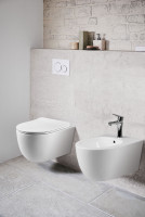 Биде подвесное Evo VB1-34S, цвет белый